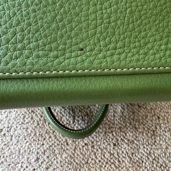 Dooney & Bourke Pebble Leather Satchel Tote in Sage Green โ Classic Preppy - Picture 12 of 14